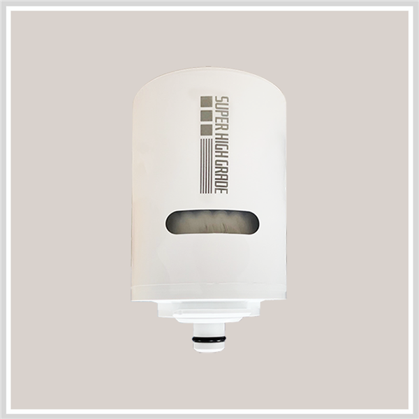 Bộ lọc Cleansui EFC21